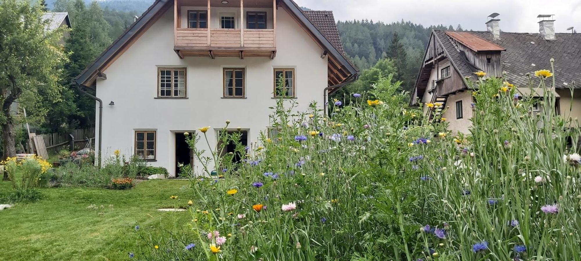 House Leska Apartment Kranjska Gora Ngoại thất bức ảnh